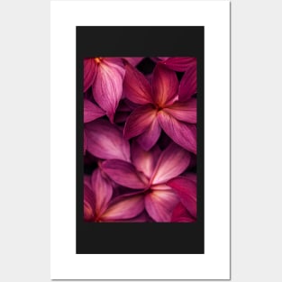 Beautiful Red Burgundy Flowers, for all those who love nature #95 Posters and Art